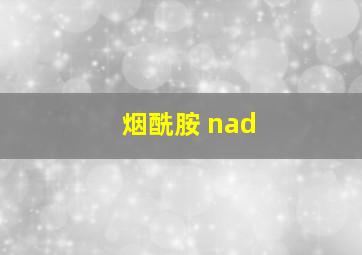 烟酰胺 nad